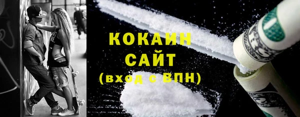 шишки Аркадак