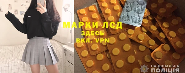 шишки Аркадак