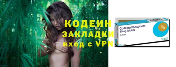 шишки Аркадак