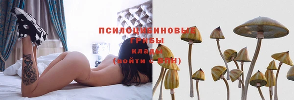 дживик Арсеньев