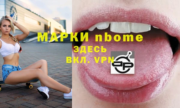 шишки Аркадак