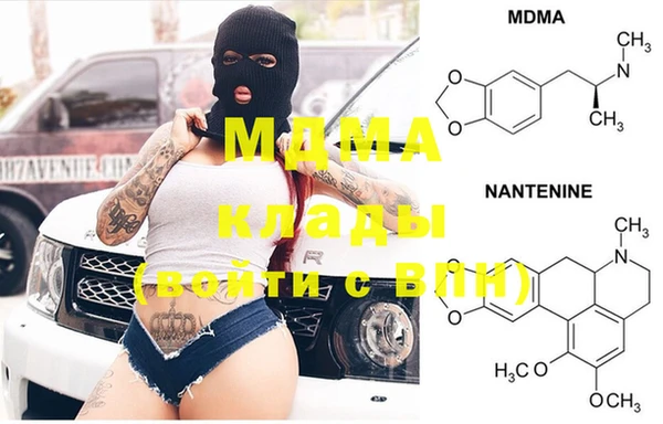 шишки Аркадак