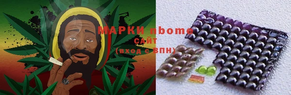 шишки Аркадак