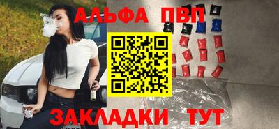 стаф Вязьма