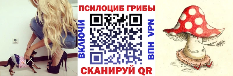 Галлюциногенные грибы Magic Shrooms  что такое   Асбест 